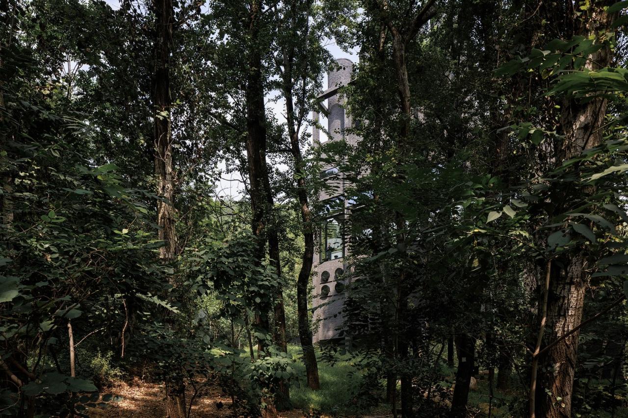 BIM建筑|雾灵山眼石汤泉,林中仪器 / 直向建筑 BIM建筑|雾灵山眼石汤泉,林中仪器 / 直向建筑