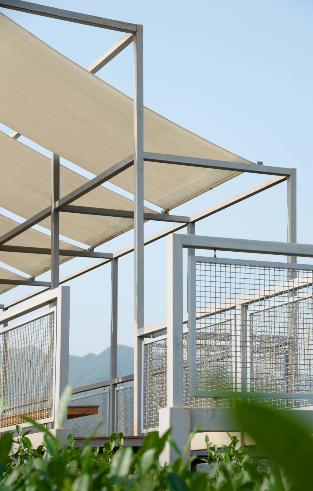 BIM建筑|长埭村艺术乡建系列-茶山浮亭 / 由牧建筑 BIM建筑|长埭村艺术乡建系列-茶山浮亭 / 由牧建筑