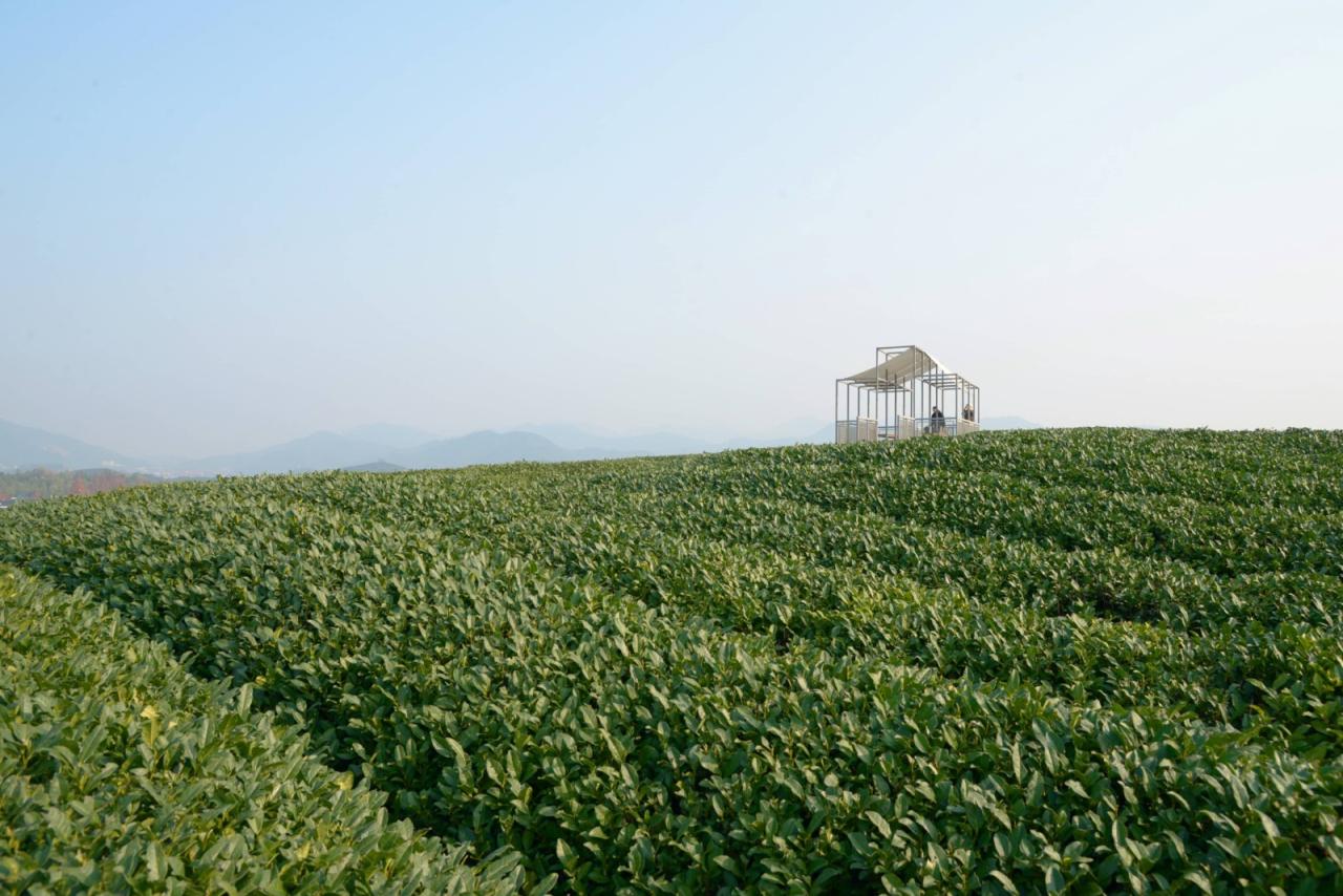 BIM建筑|长埭村艺术乡建系列-茶山浮亭 / 由牧建筑 BIM建筑|长埭村艺术乡建系列-茶山浮亭 / 由牧建筑