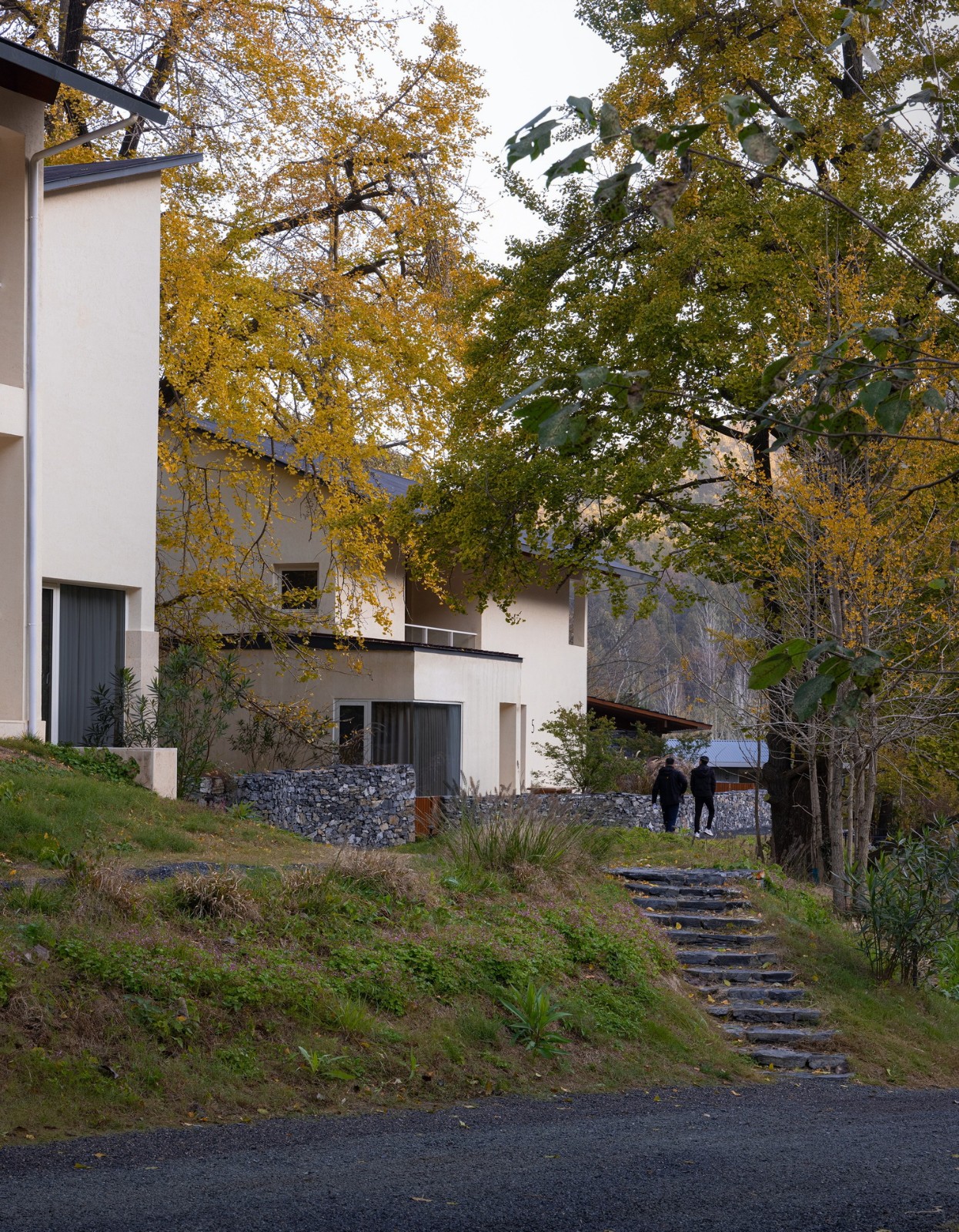 BIM建筑|大乐之野·银杏谷 / 末广建筑 BIM建筑|大乐之野·银杏谷 / 末广建筑