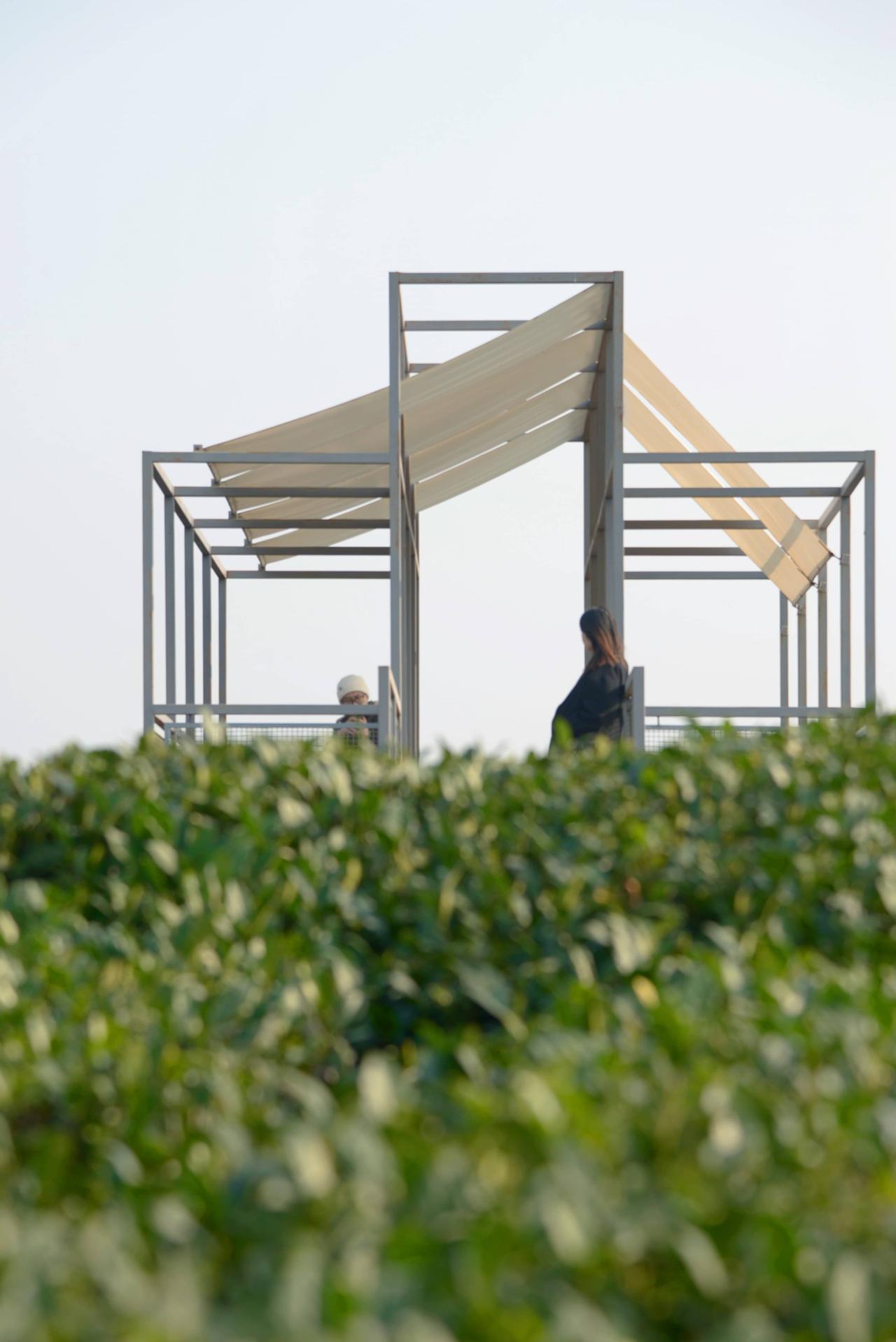 BIM建筑|长埭村艺术乡建系列-茶山浮亭 / 由牧建筑 BIM建筑|长埭村艺术乡建系列-茶山浮亭 / 由牧建筑