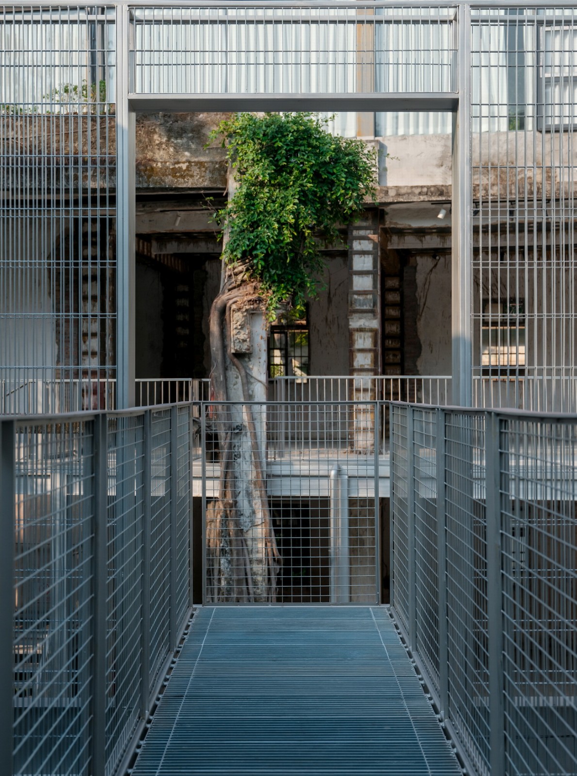 BIM建筑|森野长廊 / BDSD吾界设计 BIM建筑|森野长廊 / BDSD吾界设计