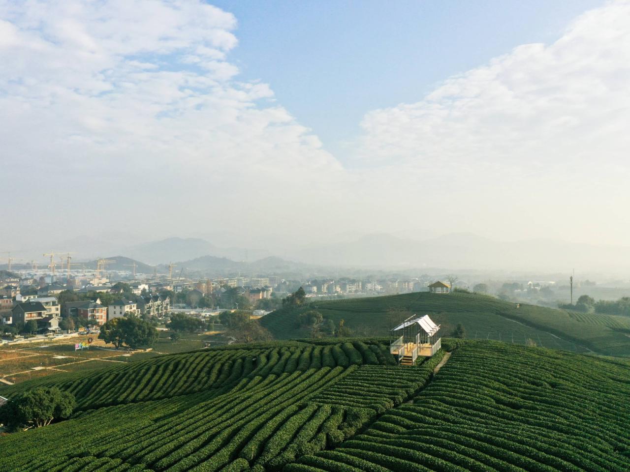 BIM建筑|长埭村艺术乡建系列-茶山浮亭 / 由牧建筑 BIM建筑|长埭村艺术乡建系列-茶山浮亭 / 由牧建筑