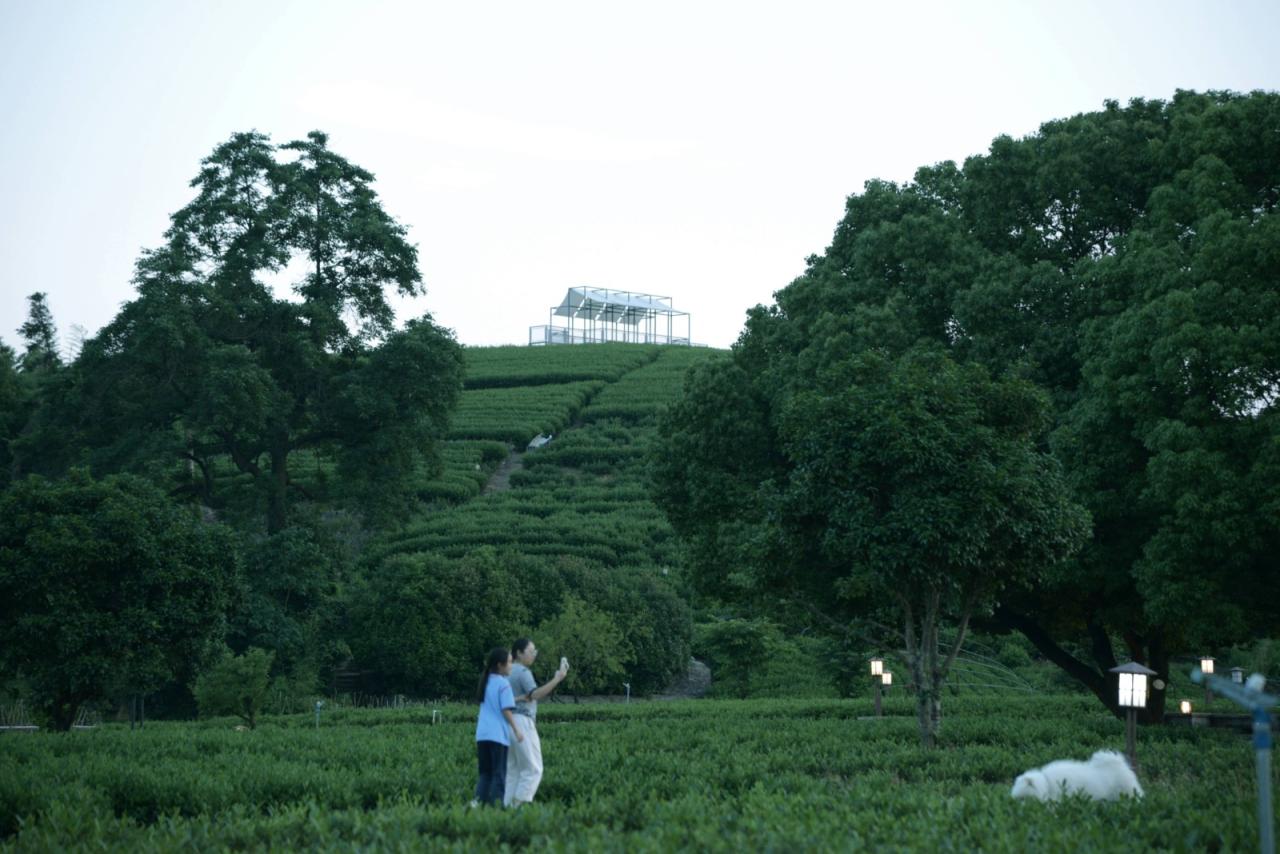 BIM建筑|长埭村艺术乡建系列-茶山浮亭 / 由牧建筑 BIM建筑|长埭村艺术乡建系列-茶山浮亭 / 由牧建筑