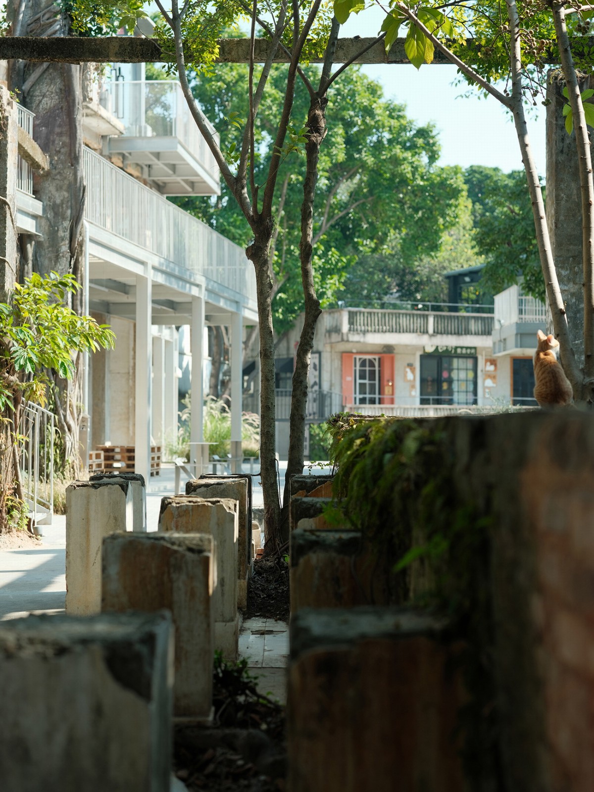 BIM建筑|森野长廊 / BDSD吾界设计 BIM建筑|森野长廊 / BDSD吾界设计