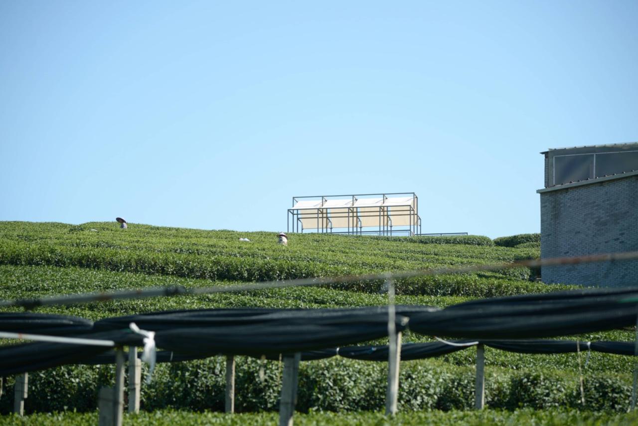 BIM建筑|长埭村艺术乡建系列-茶山浮亭 / 由牧建筑 BIM建筑|长埭村艺术乡建系列-茶山浮亭 / 由牧建筑