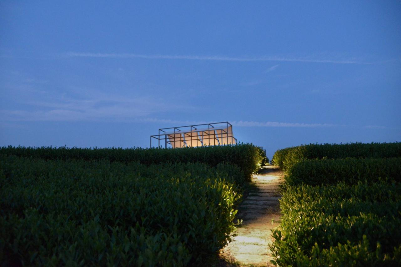 BIM建筑|长埭村艺术乡建系列-茶山浮亭 / 由牧建筑 BIM建筑|长埭村艺术乡建系列-茶山浮亭 / 由牧建筑