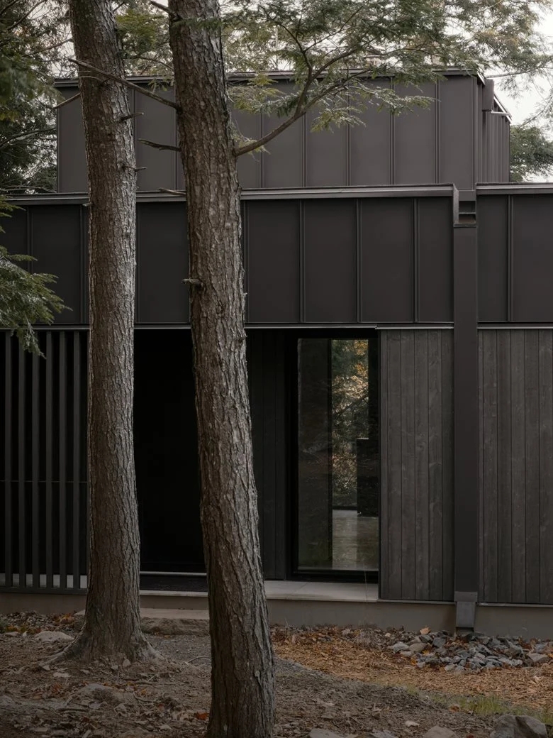 在树梢间谱建筑与自然的和谐乐章亲生物细节度假屋设计 在树梢间谱建筑与自然的和谐乐章亲生物细节度假屋设计