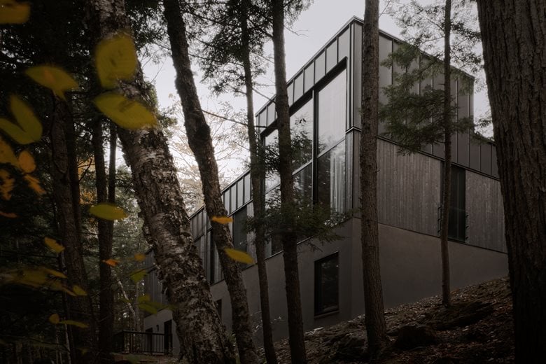 在树梢间谱建筑与自然的和谐乐章亲生物细节度假屋设计 在树梢间谱建筑与自然的和谐乐章亲生物细节度假屋设计