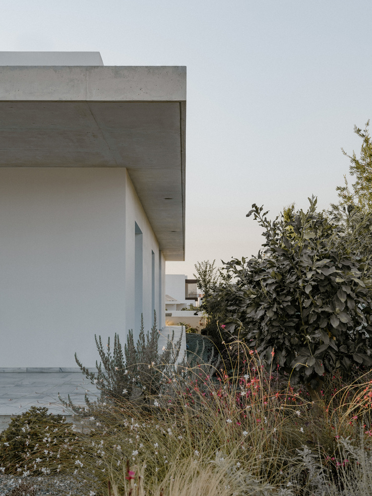 雕塑般裸露混凝土贯穿整个狭长矩形的平房设计 雕塑般裸露混凝土贯穿整个狭长矩形的平房设计