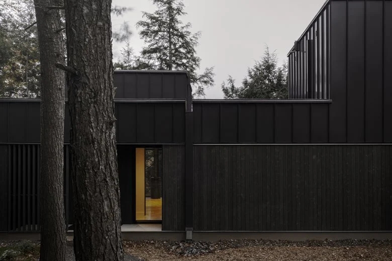 在树梢间谱建筑与自然的和谐乐章亲生物细节度假屋设计 在树梢间谱建筑与自然的和谐乐章亲生物细节度假屋设计