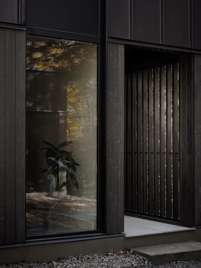 在树梢间谱建筑与自然的和谐乐章亲生物细节度假屋设计 在树梢间谱建筑与自然的和谐乐章亲生物细节度假屋设计